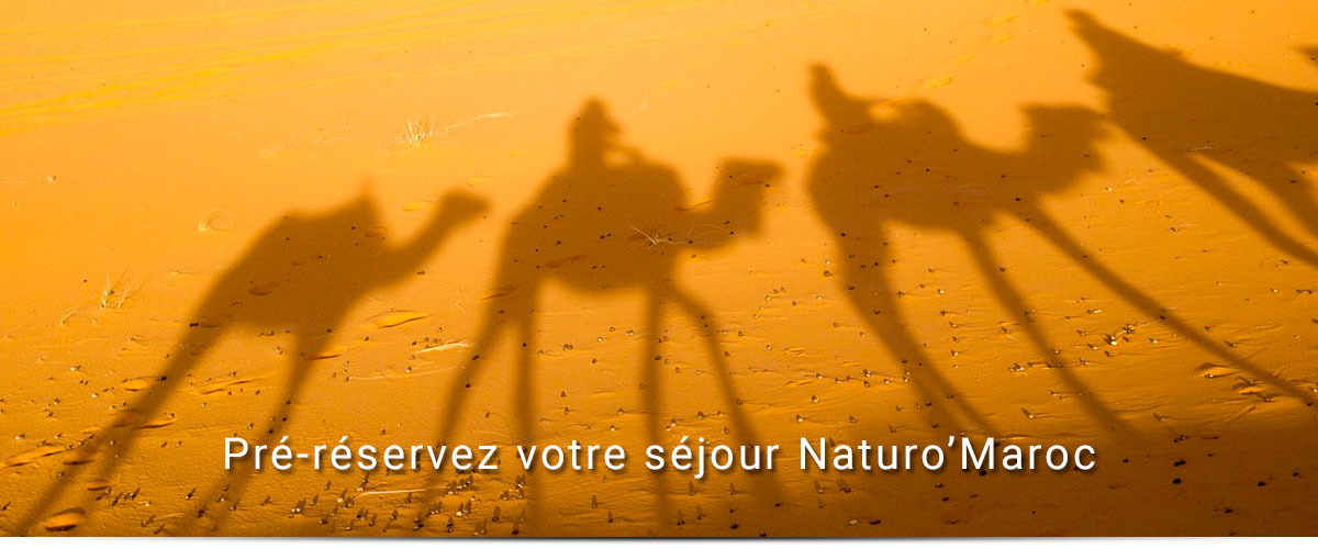 Formulaire de pré-inscription au séjour Naturo&rsquo;Maroc