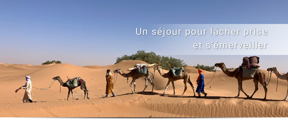Le Séjour TREK DÉSERT Naturo’Maroc en détails